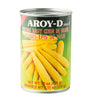 A can of Aroy-D Young Baby Corn in Brine, showing images of corn on the label.